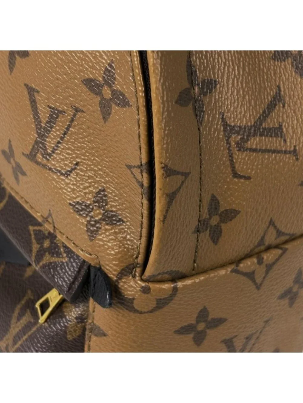 Louis Vuitton Palm Spring Backpack Mini Monogram Reverse Brown - Picture 5 of 9
